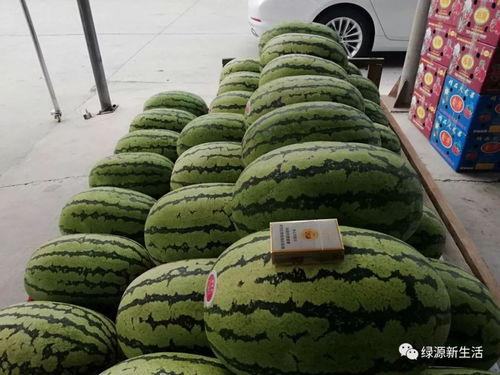 岸上吃瓜,揭秘娱乐圈幕后风云