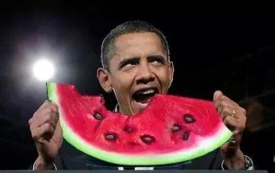 吃瓜球视频,一场视觉盛宴的狂欢之旅