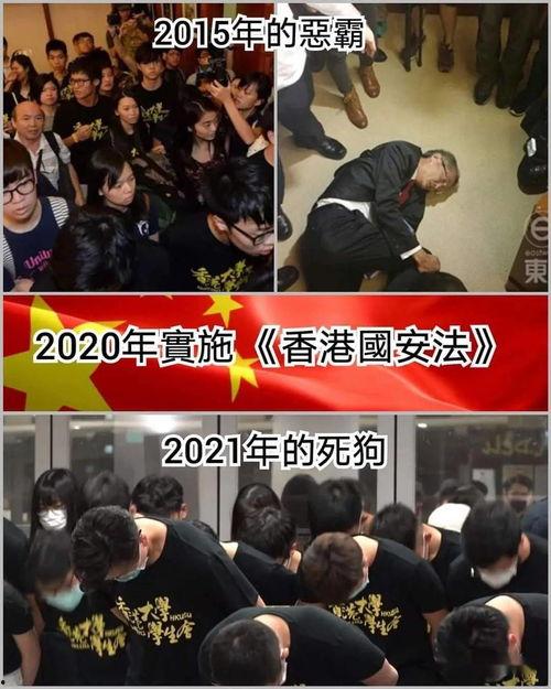 吃瓜恐怖分子,一场荒诞的恐怖主义闹剧