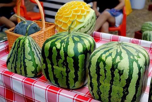 招待客人吃瓜,一场别开生面的招待盛宴