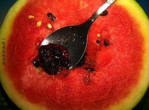 奇葩花灯带你吃瓜,一场别开生面的吃瓜盛宴