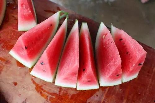 长沙吃瓜神经,揭秘城市生活百态的神经网络