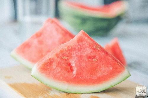 长沙吃瓜神经,揭秘城市生活百态的神经网络