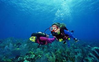 广西潜水教练吃瓜,广西潜水教练水下“吃瓜”奇遇记