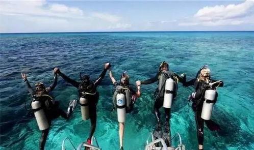 广西潜水教练吃瓜,广西潜水教练水下“吃瓜”奇遇记