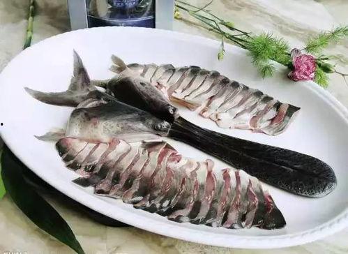 鸭嘴鱼吃瓜,瓜田里的美食探险记