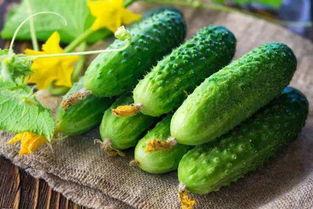 别吃瓜的图片,揭秘“别吃瓜”背后的真相与启示