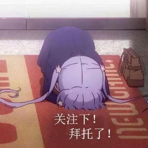 蒙眼吃瓜头像,揭秘网络迷雾中的趣味人生