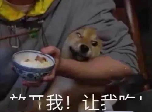 医生带你吃瓜,吃瓜也能养生