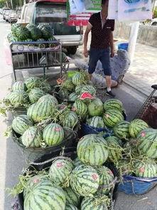 重庆黔江吃瓜事件,一场网络热议背后的真相与反思