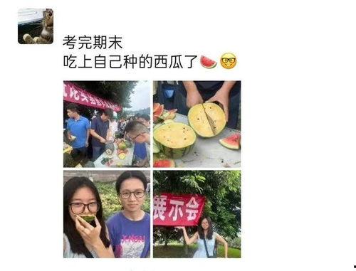 吃自己同学的瓜,揭秘同学间的那些秘密