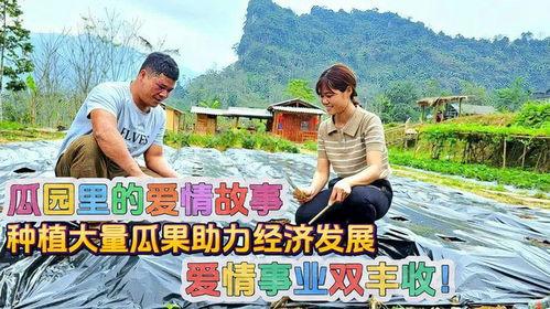 吃瓜恋爱故事,一场吃瓜引发的恋爱奇缘