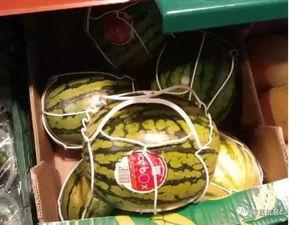 没生意吃瓜,没生意时的悠闲生活