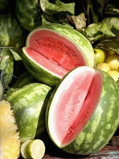 幸福吃瓜视频,揭秘娱乐圈甜蜜瓜果背后的故事