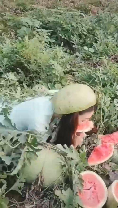 吃瓜吃叶子的小姐姐,揭秘吃瓜吃叶子小姐姐的独特美食之旅