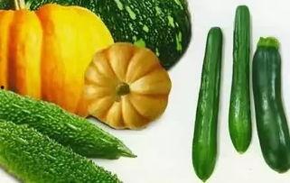 拜瓜怎么吃,解锁美味新境界