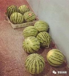 吃瓜人的吃瓜精神,全民狂欢背后的社会现象解析