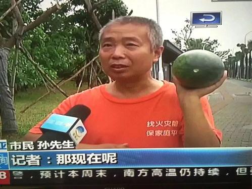 小区吃瓜热门事件,揭秘小区吃瓜热门事件背后的真相