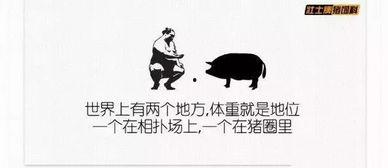 吃瓜搞笑完结文案短句,完结篇精彩回顾