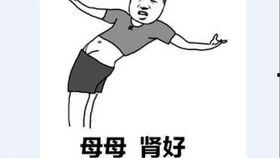 呆瓜须怎样吃,解锁美味新境界