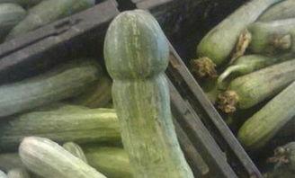 吃瓜不是吃瓜游戏,一场别开生面的互动游戏盛宴