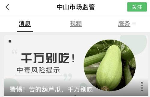 吃瓜安全提示,安全享乐，轻松避雷