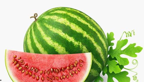 吃瓜打头,吃瓜群众视角下的娱乐圈风云录