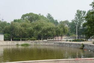 东明吃瓜好去处