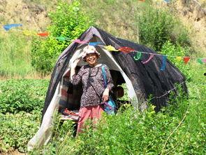 吃瓜文化人,揭秘当代社会现象背后的娱乐与反思 第3张 吃瓜文化人,揭秘当代社会现象背后的娱乐与反思 第3张