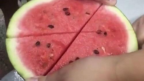 没有刀怎么吃小瓜,创意食瓜新体验 第2张 没有刀怎么吃小瓜,创意食瓜新体验 第2张