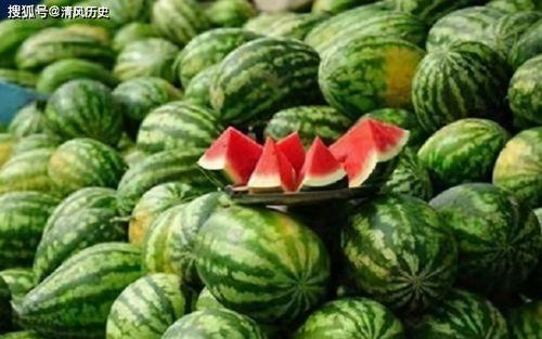 吃瓜就只吃瓜,揭秘“吃瓜就只吃瓜”的狂热现象  第2张