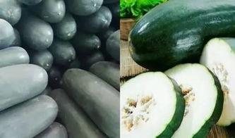 吃瓜就只吃瓜,揭秘“吃瓜就只吃瓜”的狂热现象  第3张