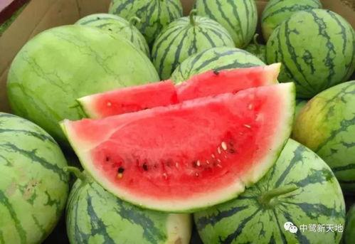 段家吃瓜人,一场吃瓜人生的酸甜苦辣  第3张