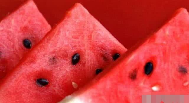 吃瓜女孩赞美玫瑰,吃瓜女孩的赞美诗篇  第2张