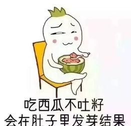 吃爸妈的瓜,吃爸妈的瓜，看明星背后的故事  第3张