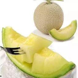 可口蜜瓜熟吃,甜蜜滋味，尽享每一口  第2张