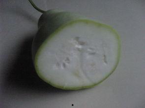 煮着吃的有什么瓜,煮着吃的多款瓜类推荐  第2张