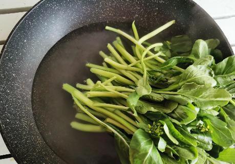 瓜大姐吃青菜  第1张