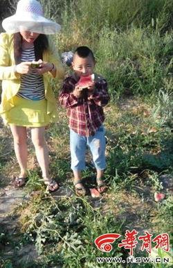 老婆吃瓜的图片