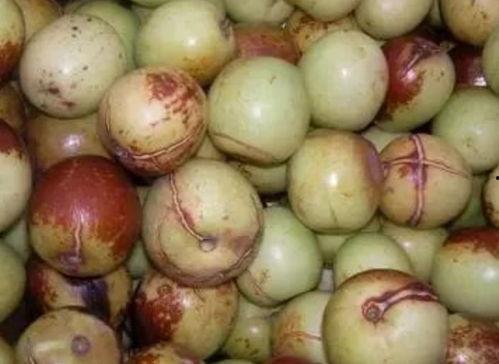 吃瓜不吃枣,探寻瓜果界的独特饮食文化  第1张