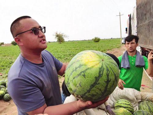 侯亚孟吃瓜  第2张