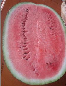 来吧来吧吃瓜  第2张