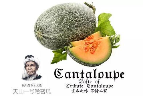 吃瓜艺术公众号  第2张