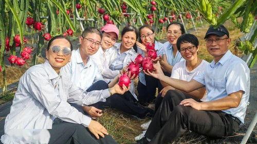 农村的吃瓜观众图片,农村吃瓜观众欢乐时光  第2张