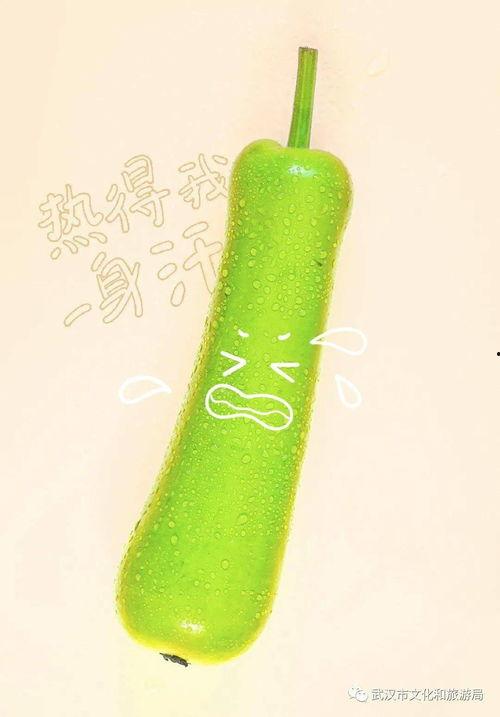 武汉今日吃瓜,吃瓜群众聚焦最新民生话题  第3张