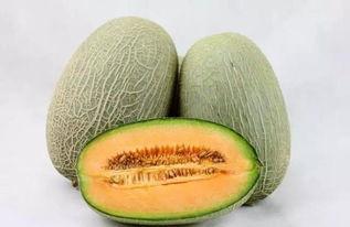 卡乃驰吃瓜  第3张