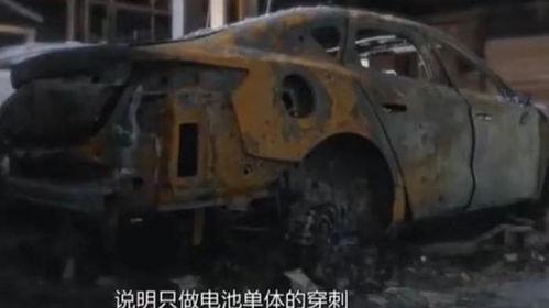 比亚迪吃瓜大战,一场舆论风波的幕后解析